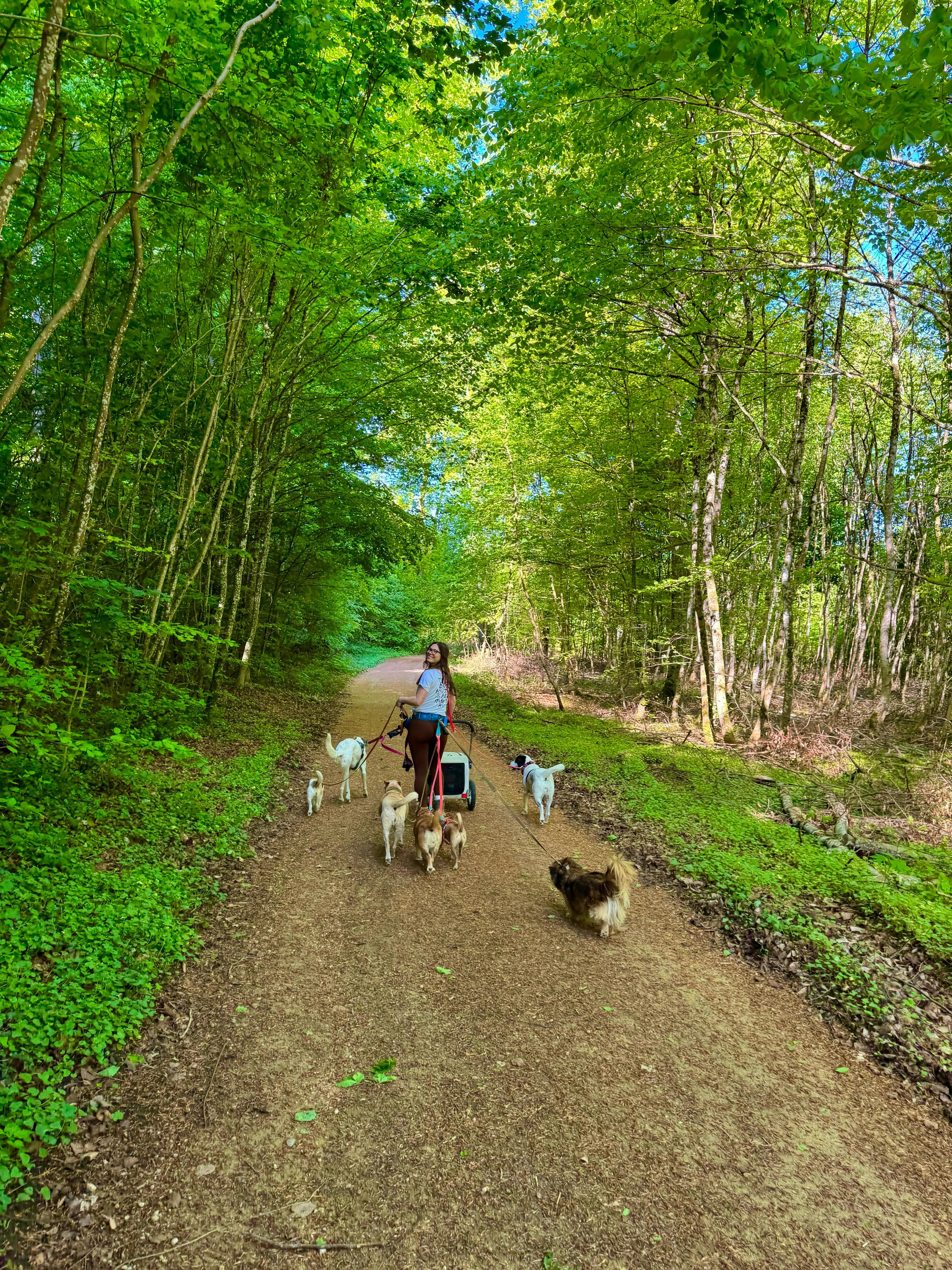 Photo of the founder with dogs outdoors