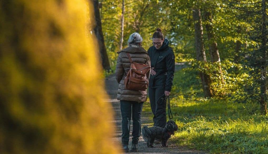 Human and dog training session
